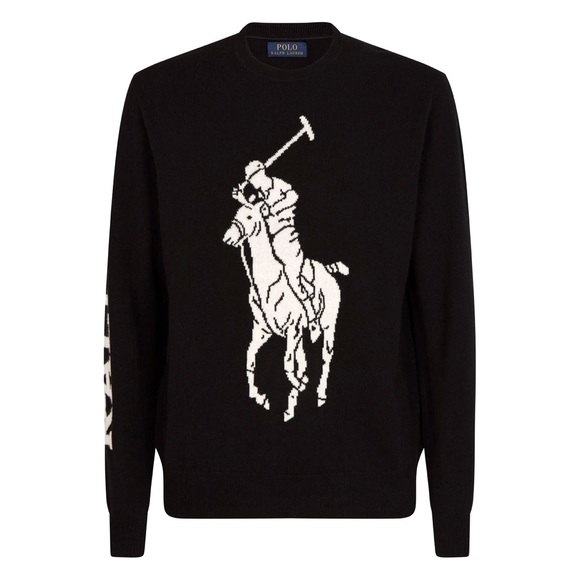 Polo by Ralph Lauren Sweaters Polo Ralph Lauren Signature Big Pony
